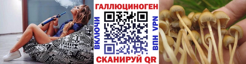 Галлюциногенные грибы мицелий  Купить где  Муром 